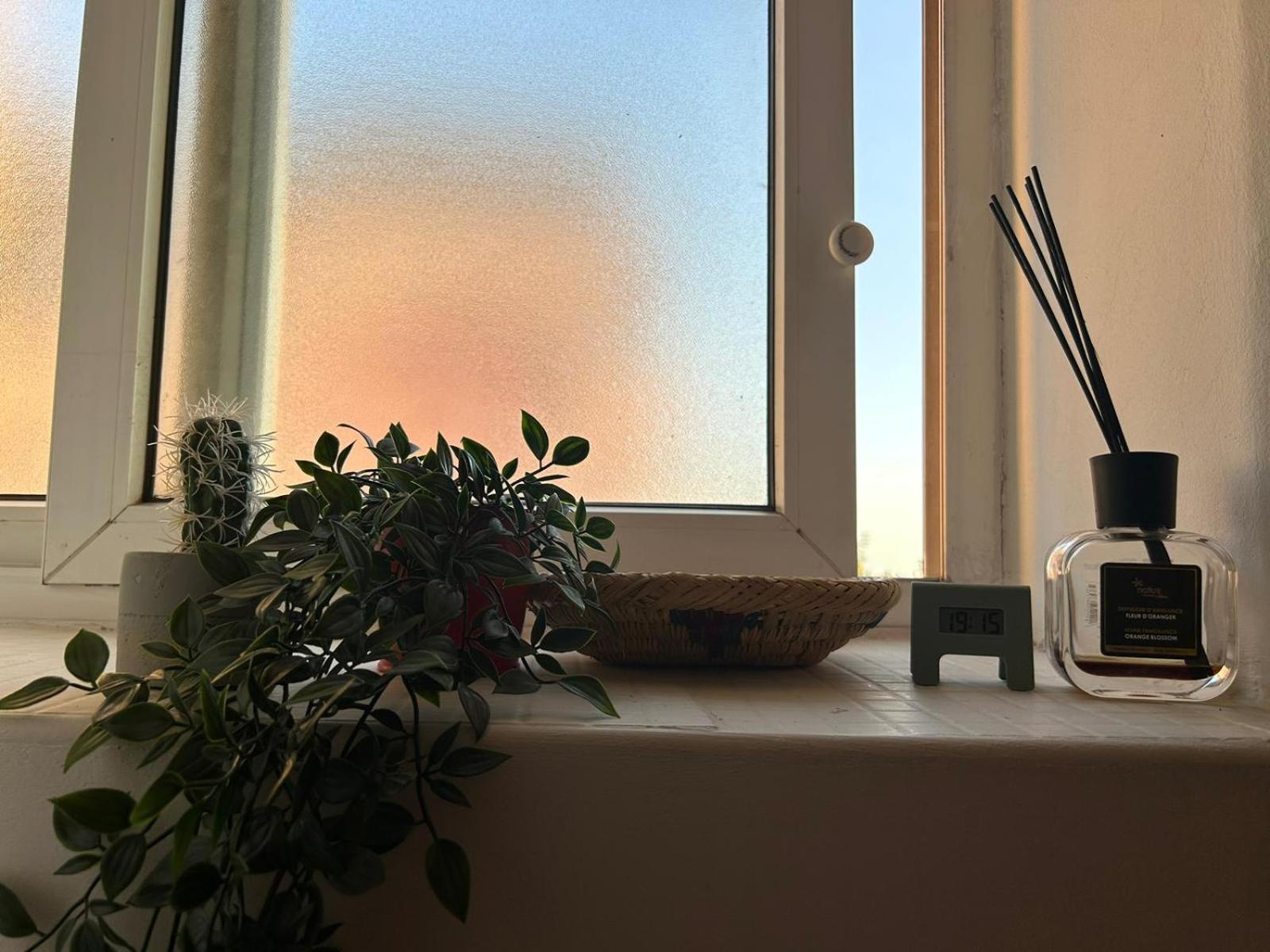 Cosy Studio Gueliz Marrakesh Eksteriør bilde